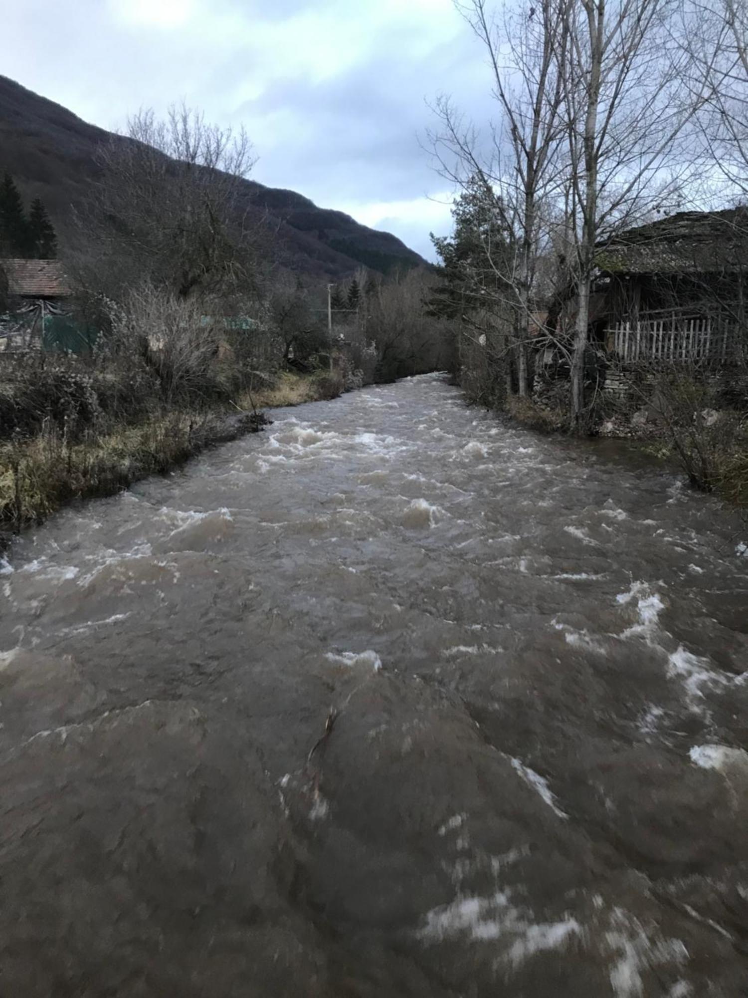 Panic Pirot